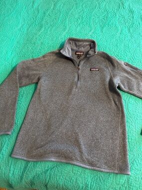 Patagonia Men’s Blue Half-Zip Fleece Pullover